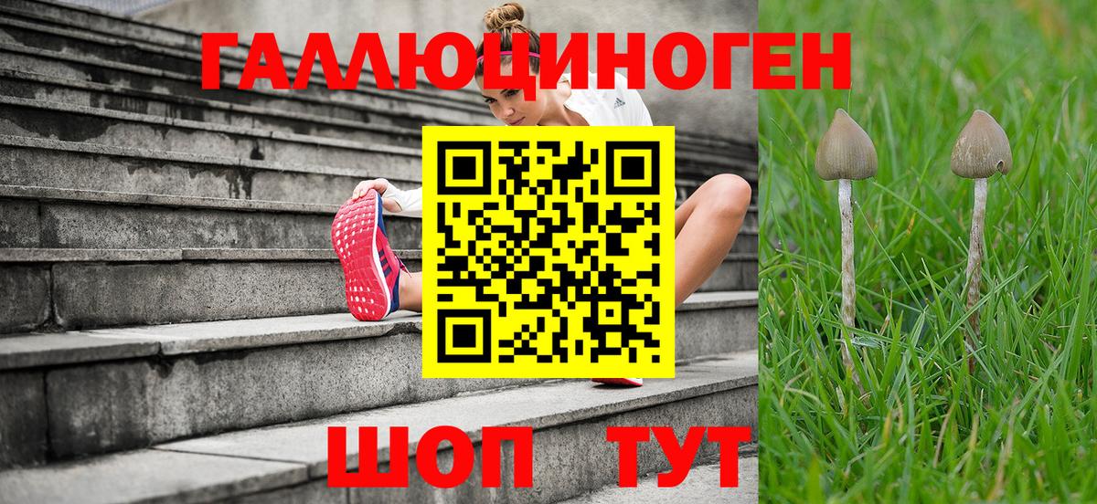 Галлюциногенные грибы Magic Shrooms Татарск