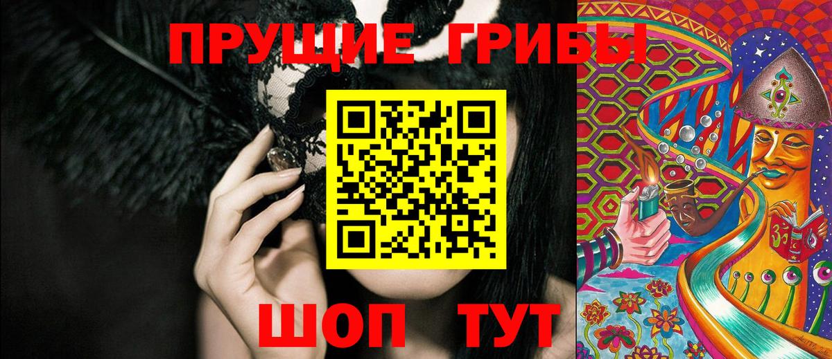 Псилоцибиновые грибы Psilocybine cubensis  Вход с VPN  Татарск 